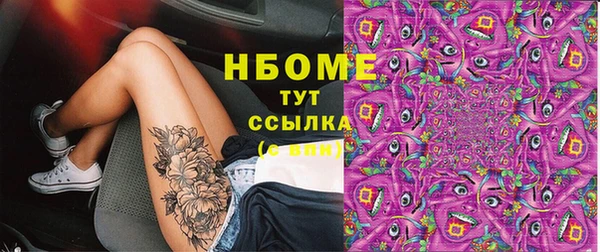 прущие грибы Верея