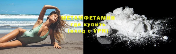 прущие грибы Верея