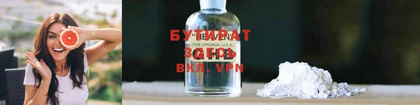 прущие грибы Верея