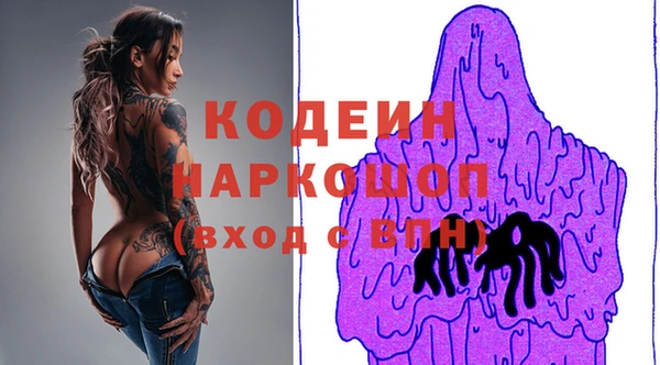 прущие грибы Верея