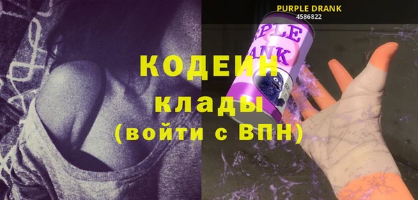 прущие грибы Верея
