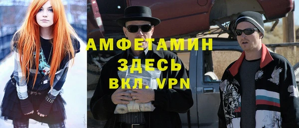 прущие грибы Верея