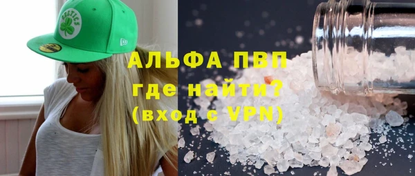 прущие грибы Верея
